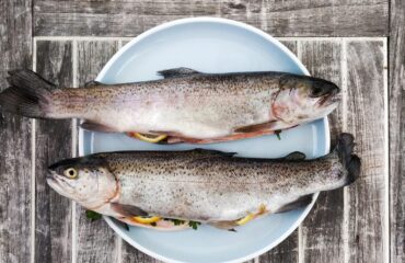Fisk-kost-